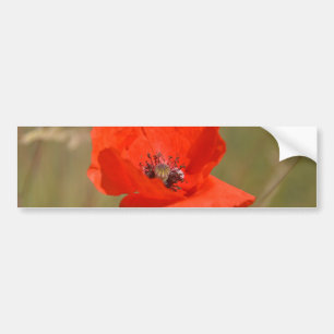 Roter Mohn im Feld Autoaufkleber