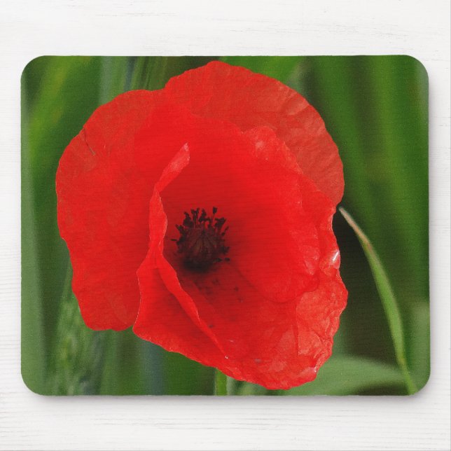 Roter Mohn Mousepad (Vorne)