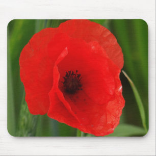 Roter Mohn Mousepad