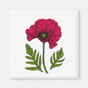 Roter Mohn zeichnend 3 Magnet