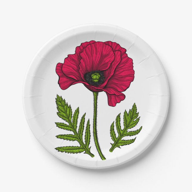 Roter Mohn zeichnend 3 Pappteller (Vorderseite)