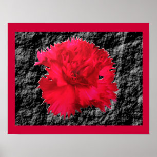 Roter Nelken-Blumen-Fantasie-Druck Poster