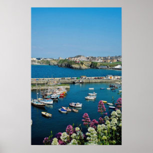 Roter Newquay Hafen, Cornwall, BRITISCHE Blumen Poster