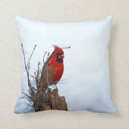 Roter NordKardinal, der auf einem hölzernen Posten Kissen