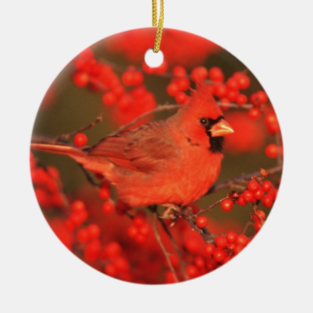 Roter Nördlicher Kardinal männlich, IL Keramikornament (Vorne)
