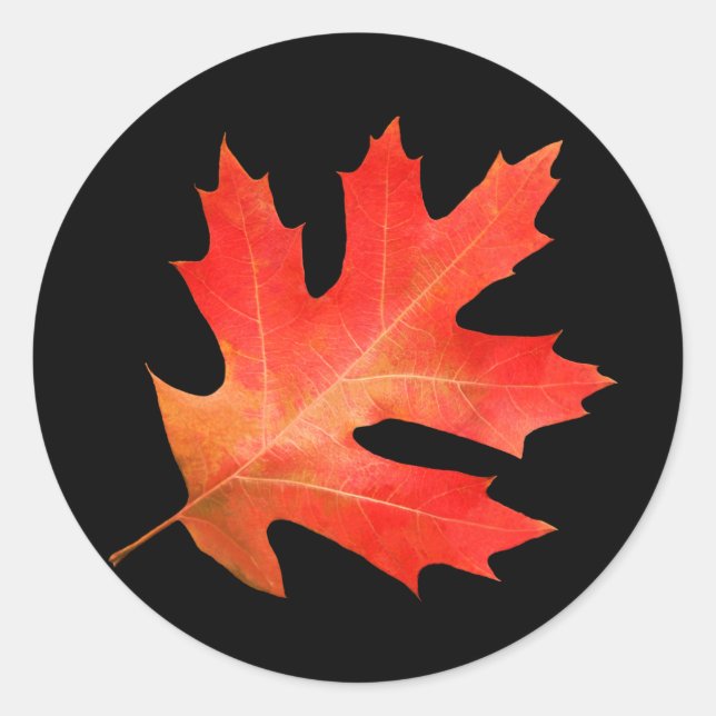 Roter Oak-Leaf-Sticker Runder Aufkleber (Vorderseite)