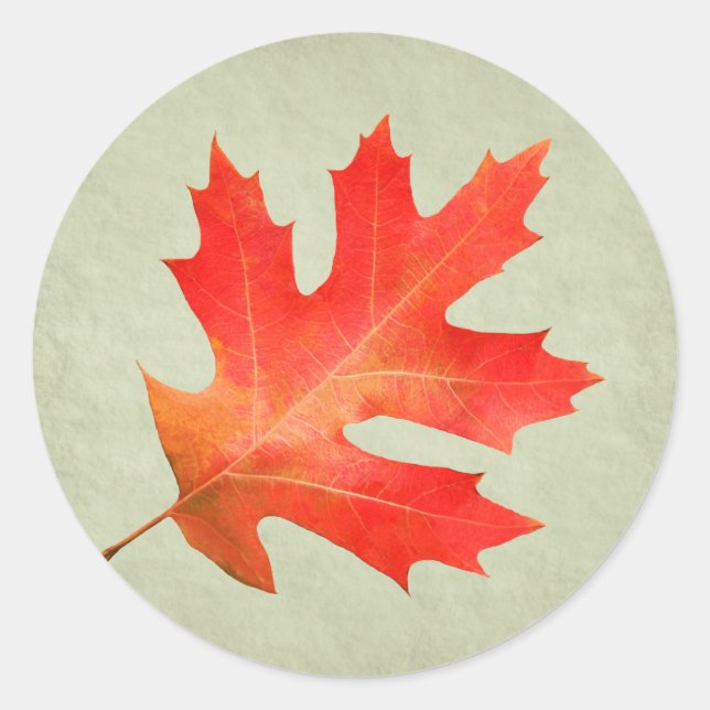 Roter Oak-Leaf-Sticker Runder Aufkleber (Vorderseite)