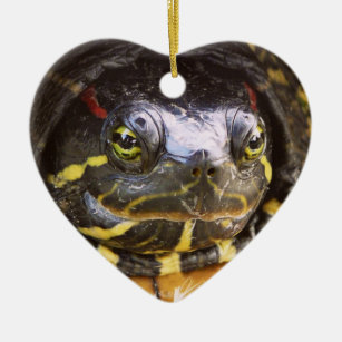 Roter ohriger Schieber-Schildkröte-Kopf Keramik Ornament