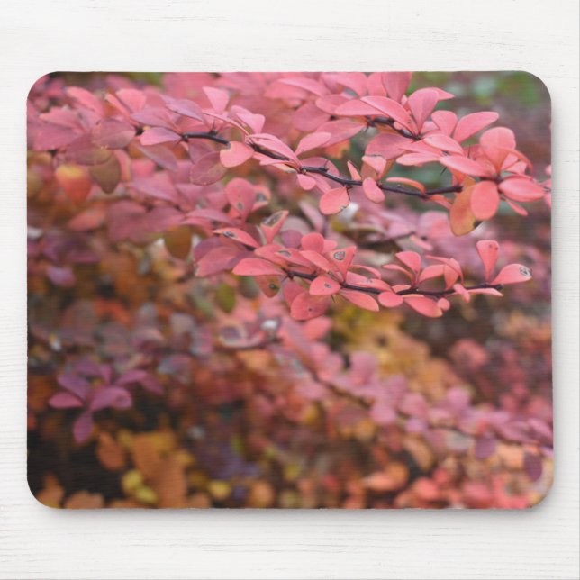 Roter Orange Fall Blätter Herbst Blätter Blätter N Mousepad (Vorne)