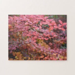 Roter Orange Fall Blätter Herbst Blätter Blätter N Puzzle
