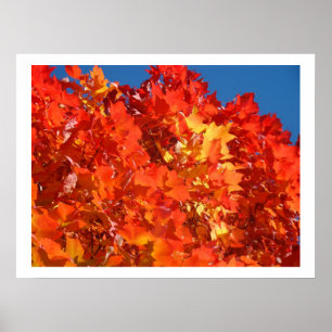 Roter Orange Gelber Herbst Blätter Kunstdrucke Bäu Poster