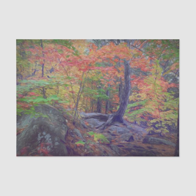 Roter Oranger Grünwald im Herbst Seidenpapier (Vorderseite)
