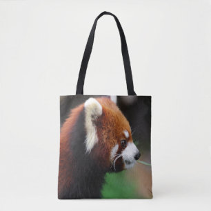 Roter Panda