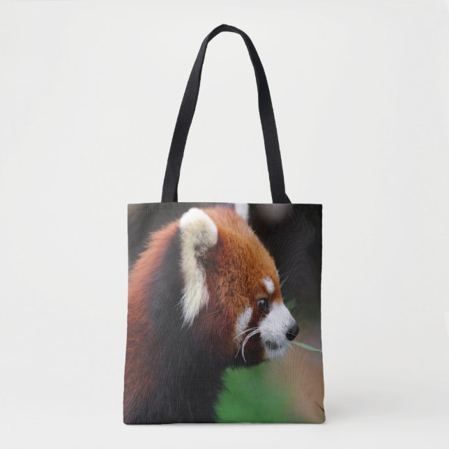 Roter Panda (Vorderseite)