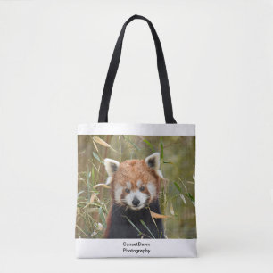 Roter Panda