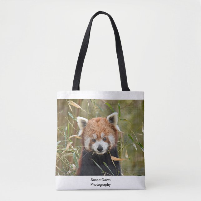 Roter Panda (Vorderseite)