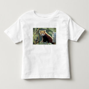 Roter Panda Ailurus fulgens) Kleinkind T-shirt