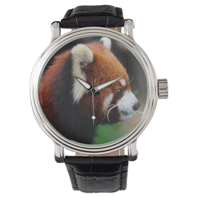 Roter Panda Armbanduhr (Vorderseite)