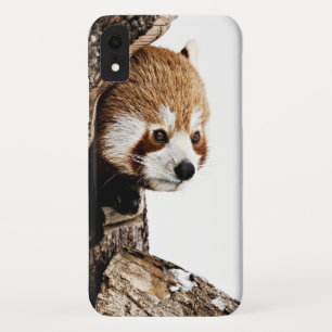 Roter Panda aus einem Baumstamm Case-Mate iPhone Hülle