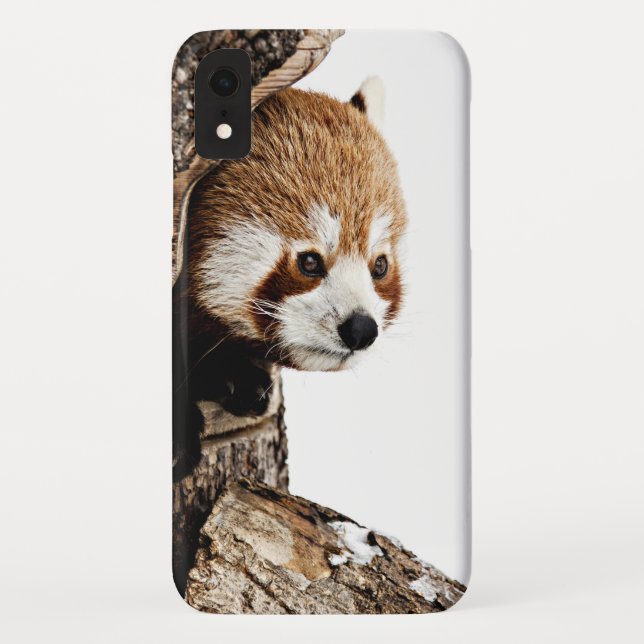 Roter Panda aus einem Baumstamm Case-Mate iPhone Hülle (Rückseite)
