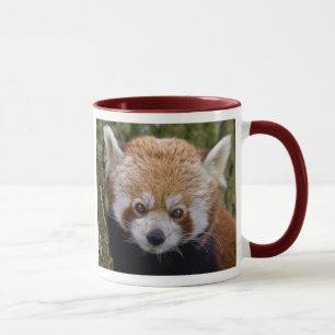 Roter Panda Becher Tasse