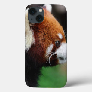 Roter Panda Case-Mate iPhone Hülle