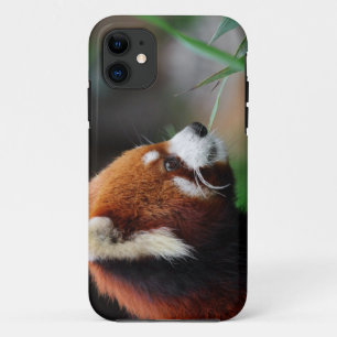 Roter Panda iPhone 11 Hülle