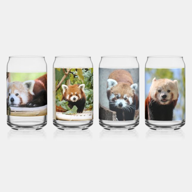Roter Panda Dosenglas (Vorderseite)