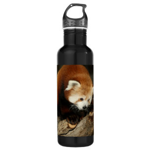 Roter Panda Edelstahlflasche