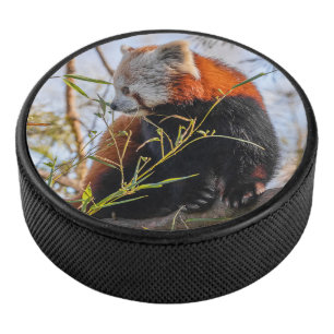 Roter Panda Eishockey Puck