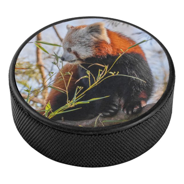 Roter Panda Eishockey Puck (3/4)