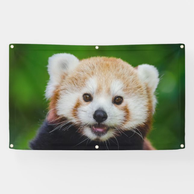 ROTER PANDA Fahne MIT GUMMIMUFFEN Banner (Horizontal)