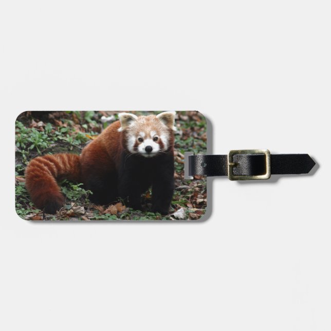 Roter Panda Gepäckanhänger (Vorderseite horizontal)