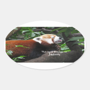 Roter Panda hält die Zunge heraus Ovaler Aufkleber