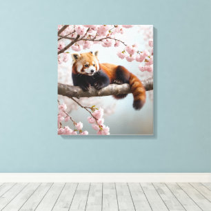 Roter Panda in einem Kirschbaum Leinwanddruck