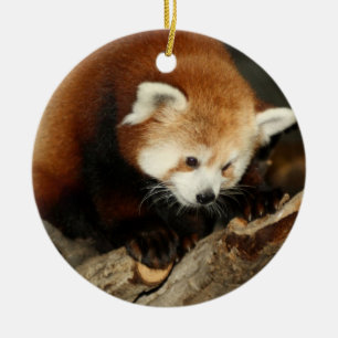 Roter Panda Keramikornament