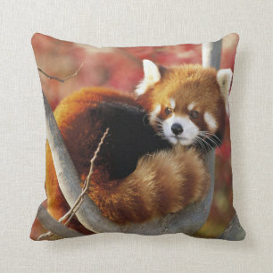 Roter Panda Kissen