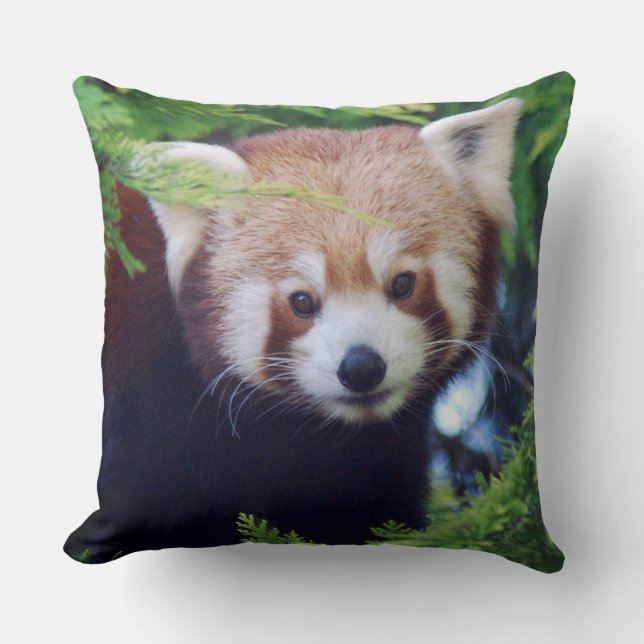 Roter Panda Kissen (Vorderseite)