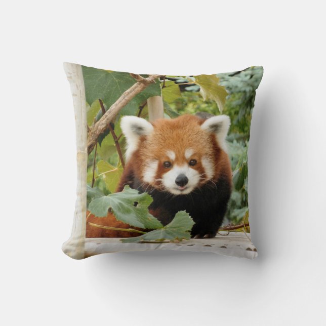 Roter Panda Kissen (Vorderseite)