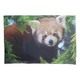 Roter Panda Kissenbezug
