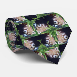 Roter Panda Krawatte