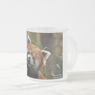 Roter Panda Mattglastasse