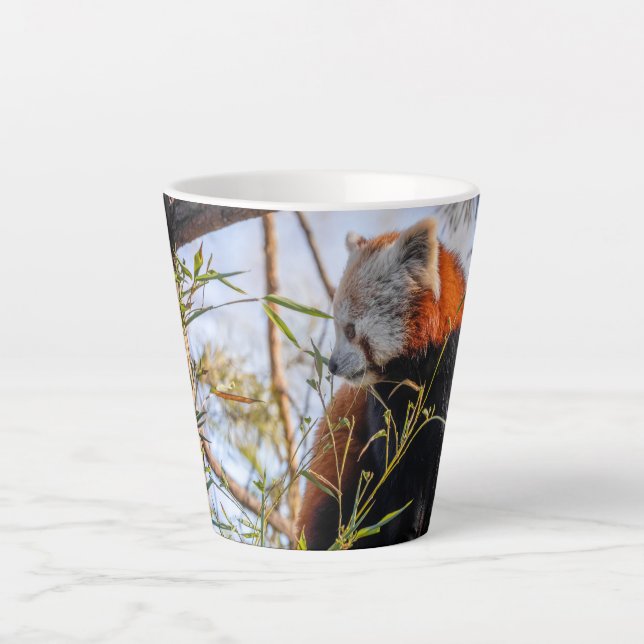 Roter Panda Milchtasse (Vorderseite)