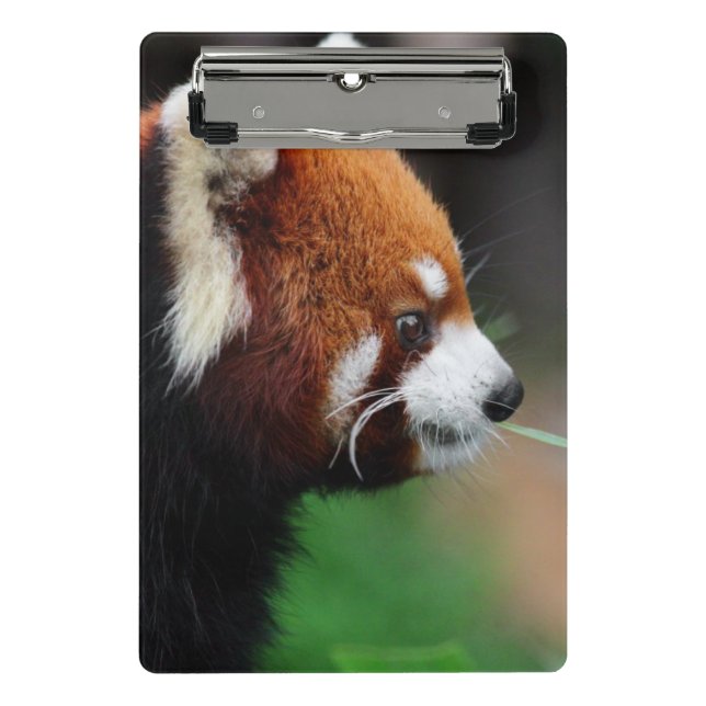 Roter Panda Mini Klemmbrett (Vorderseite)