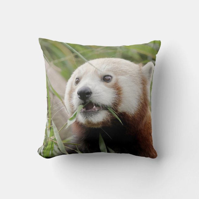 Roter Panda mit Kissen aus Foto. (Vorderseite)