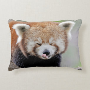 Roter Panda mit Kissen aus Foto.