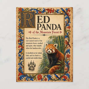 Roter Panda, mittelalterliche Bestiarien-Kunst Postkarte