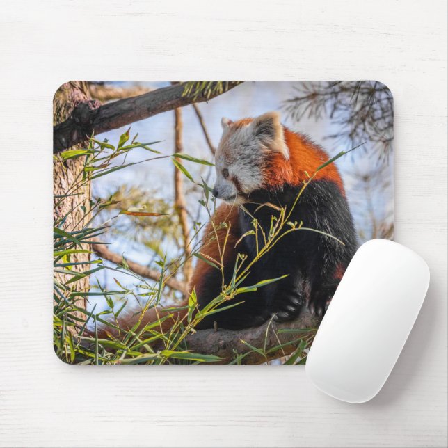 Roter Panda Mousepad (Mit Mouse)