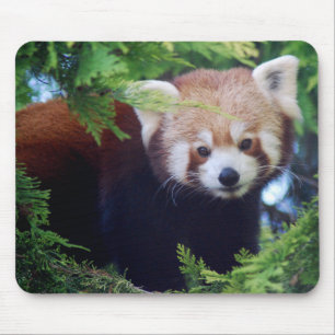 Roter Panda Mousepad