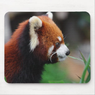 Roter Panda Mousepad